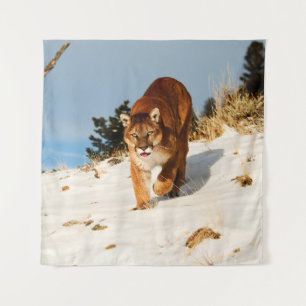 Mountain Lion on snowy hill Tapestry