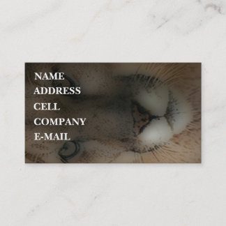 'Mountain Lion on the Hunt' Business Card