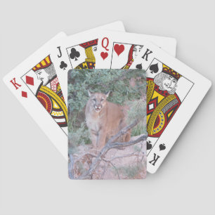 Mountain Lion Playing Cards