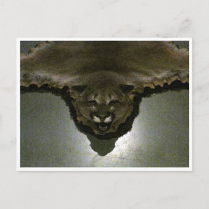 mountain lion postcard