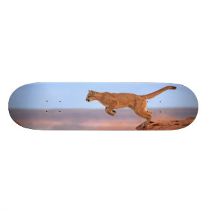 Mountain Lion Skateboard