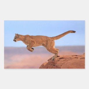 Mountain Lion Sticker
