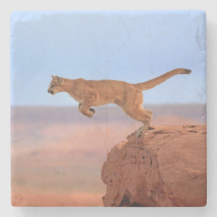 Mountain Lion Stone Coaster
