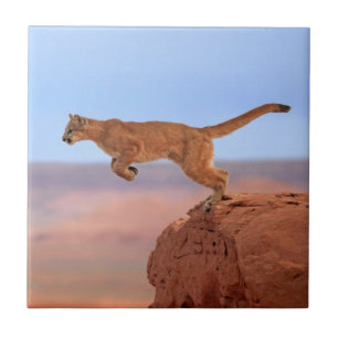 Mountain Lion Tile