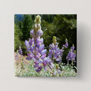 Mountain Lupins at Yosemite 2 Inch Square Button