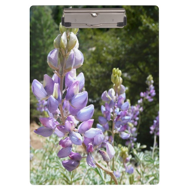 Mountain Lupins at Yosemite Clipboard (Front)