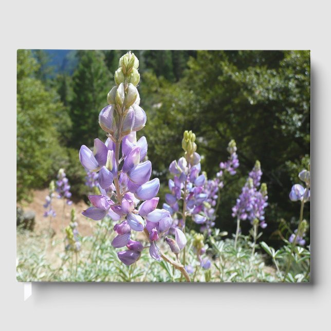 Mountain Lupins at Yosemite Guest Book (Front)