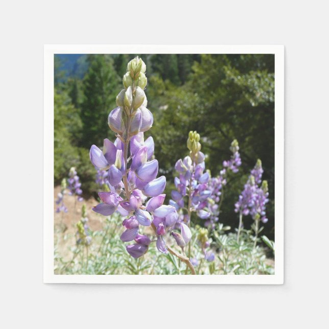 Mountain Lupins at Yosemite Napkin (Front)