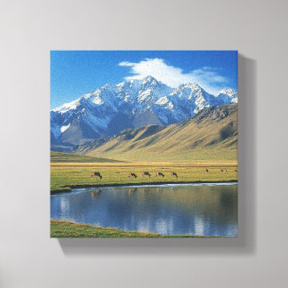 Mountain Meadow Canvas Print