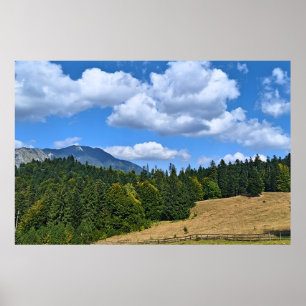 Mountain Meadow Landscape - Wild Nature Romania Poster