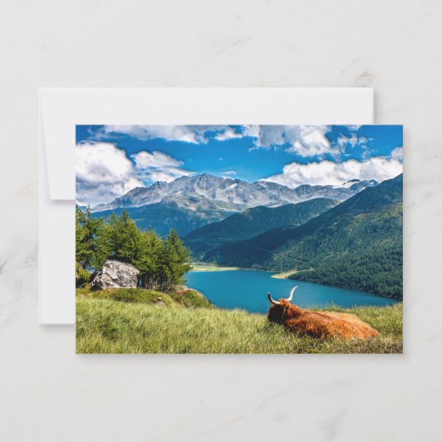 Mountain Pasture Highlands Cow Thank You Card (Front)