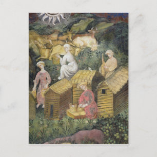 Mountain pastures postcard