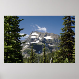 Mountain Peak Between Trees Under A Blue Sky Poster