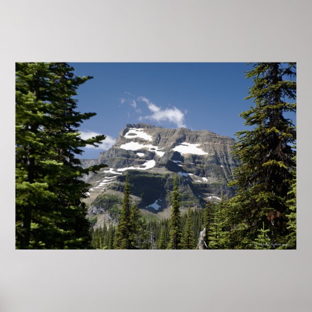 Mountain Peak Between Trees Under A Blue Sky Poster (Front)