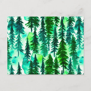 Mountain Pine Tree Forest  Postcard