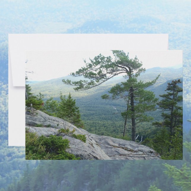 Mountain Pine Tree – Nature’s Resilience Photo Card (Creator Uploaded)