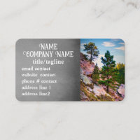 mountain pine trees nature photography custom