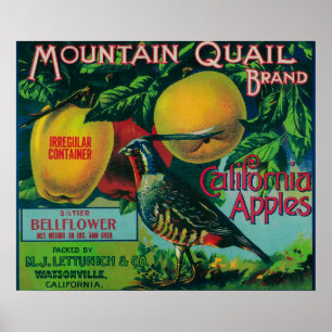 Mountain Quail Apple Crate Label Poster