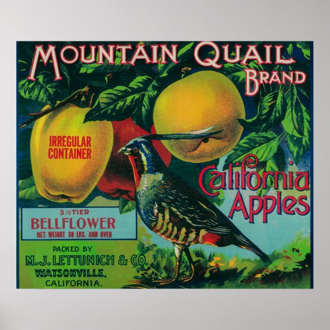 Mountain Quail Apple Crate Label Poster (Front)