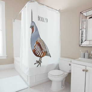 Mountain quail bird cartoon illustration