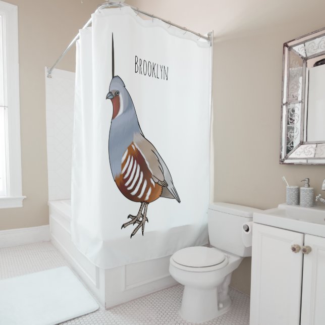 Mountain quail bird cartoon illustration  (In Situ)