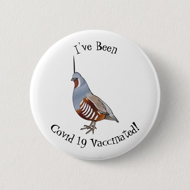 Mountain quail bird cartoon illustration 2 inch round button (Front)
