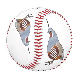Mountain quail bird cartoon illustration baseball