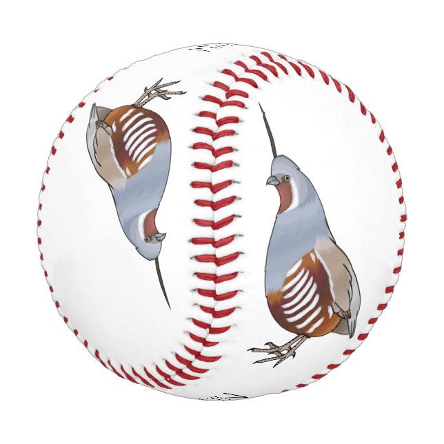 Mountain quail bird cartoon illustration baseball (Angled)