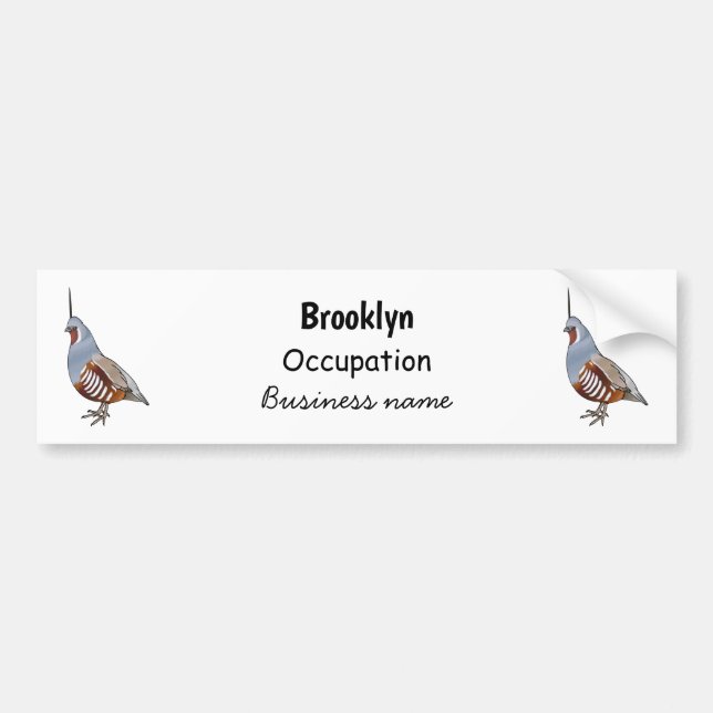 Mountain quail bird cartoon illustration bumper sticker (Front)