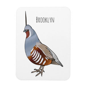 Mountain quail bird cartoon illustration magnet