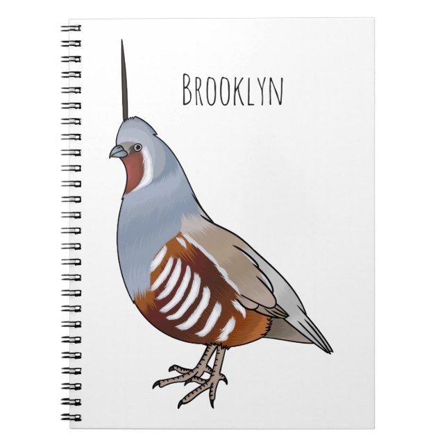 Mountain quail bird cartoon illustration  notebook (Front)