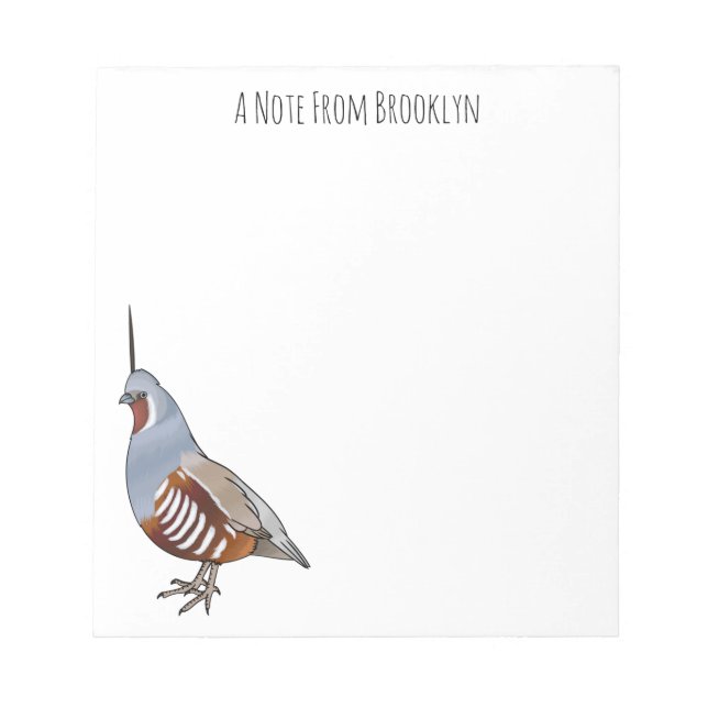 Mountain quail bird cartoon illustration  notepad (Front)