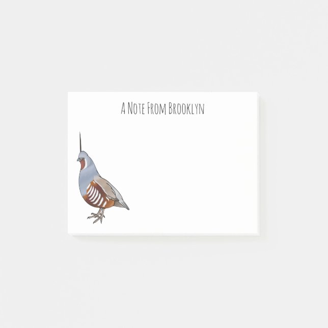 Mountain quail bird cartoon illustration   post-it notes (Front)