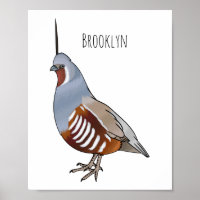 Mountain quail bird cartoon illustration 