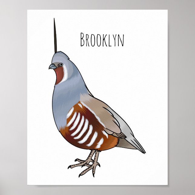Mountain quail bird cartoon illustration  poster (Front)