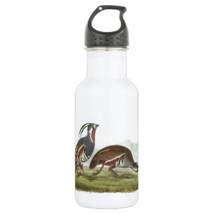 Mountain Quail by Audubon 532 Ml Water Bottle