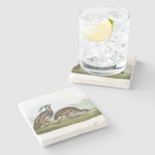 Mountain Quail by Audubon Stone Coaster