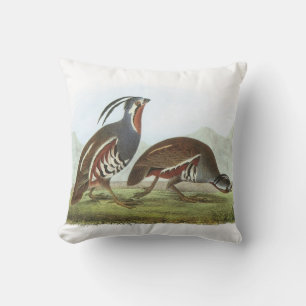 Mountain Quail by Audubon Throw Pillow