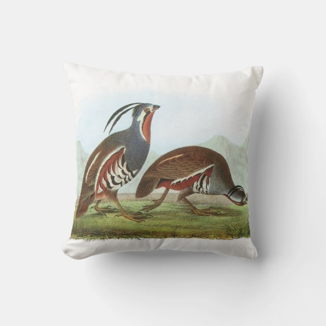 Mountain Quail by Audubon Throw Pillow (Front)