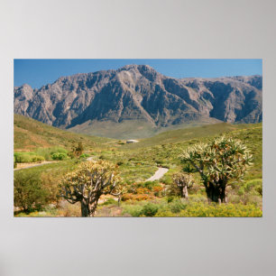 Mountain Range, Worcester Nature Reserve Poster