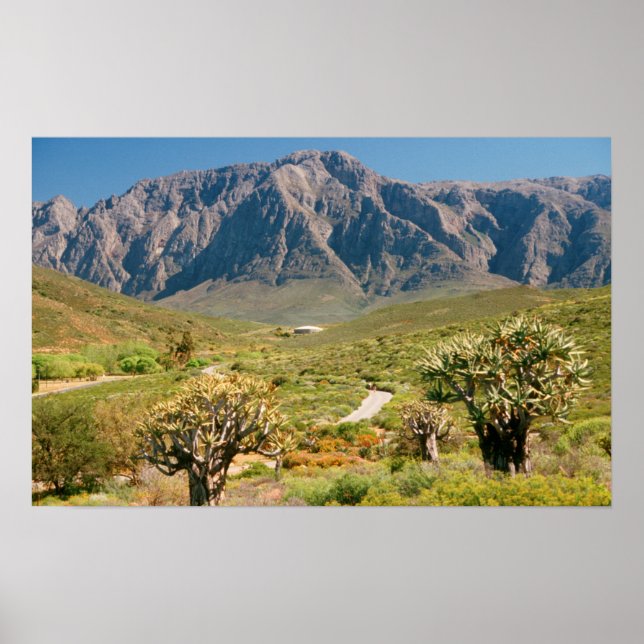 Mountain Range, Worcester Nature Reserve Poster (Front)