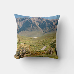 Mountain Range, Worcester Nature Reserve Throw Pillow