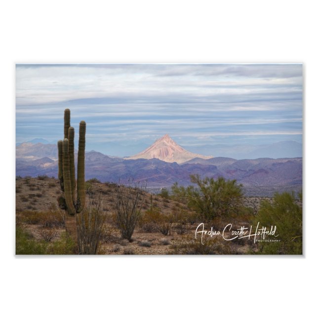 Mountain Saguaro Photo Print (Front)