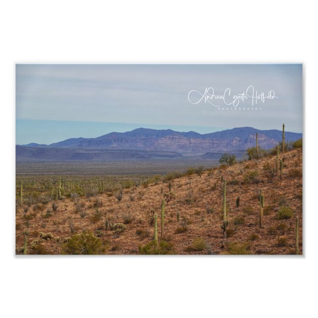 Mountain Saguaro Photo Print (Front)