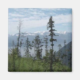 Mountain Scene Magnet