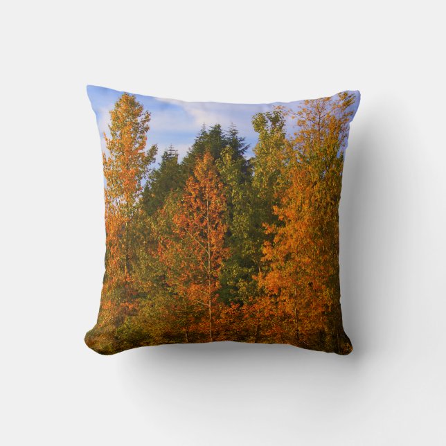 Mountain scene, trees, fall colours throw pillow (Front)