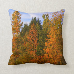 Mountain scene, trees, fall colours throw pillow