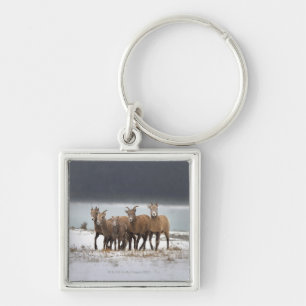 Mountain Sheep Family Keychain