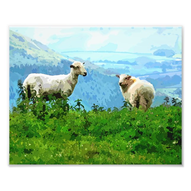 MOUNTAIN SHEEP PHOTO PRINT (Front)