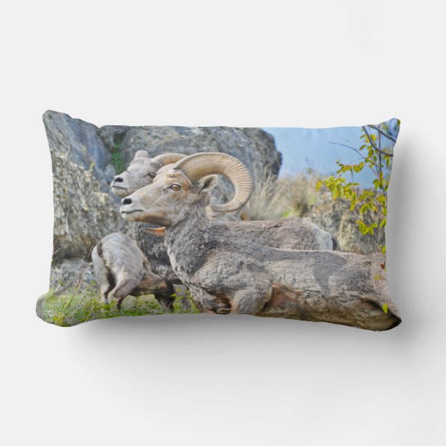 Mountain Sheep Pillow (Front)